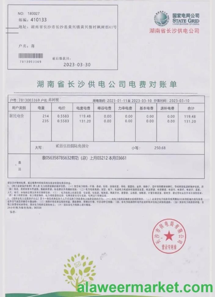 China state power grid utility bill in PSD format